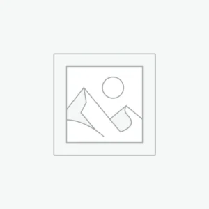 Uncategorized